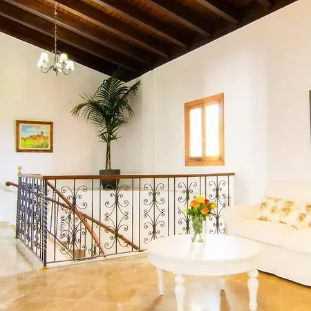 فيلة Palmeral In *