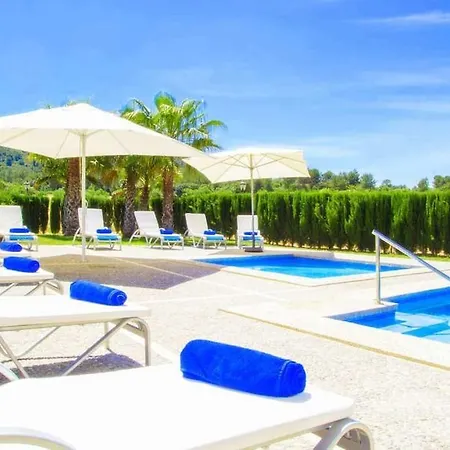فيلة Palmeral In بيترا