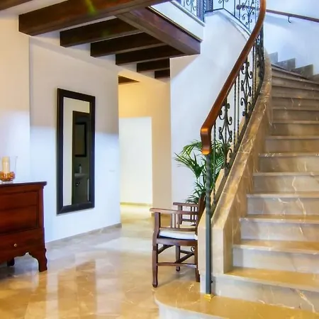 فيلة Palmeral In